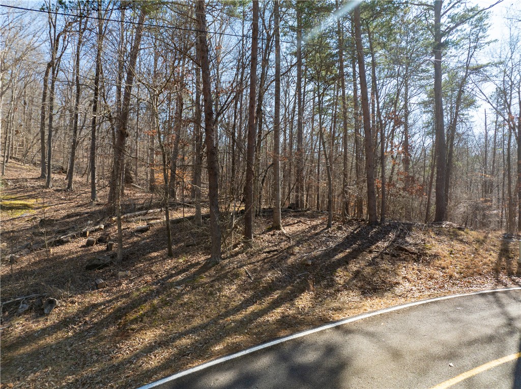 Lot 2095 Warpaint Lane, Westminster, South Carolina image 1