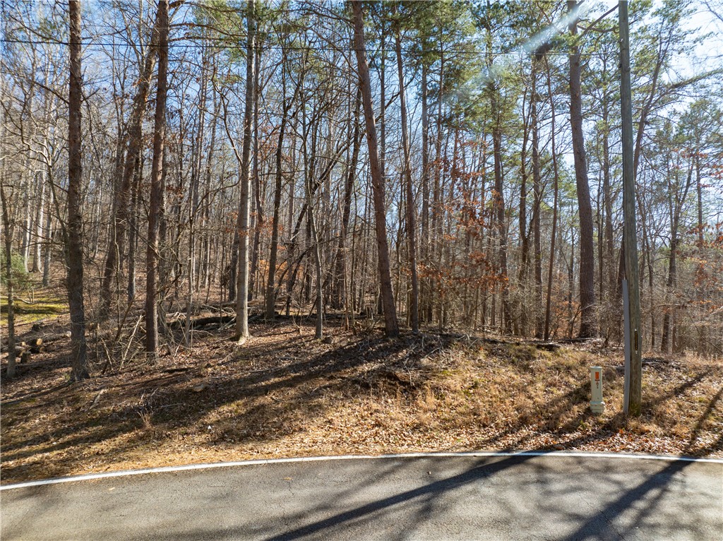 Lot 2095 Warpaint Lane, Westminster, South Carolina image 2