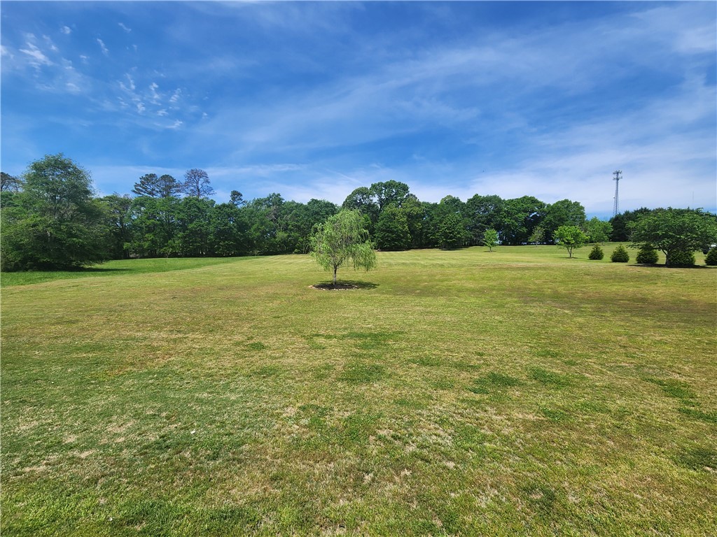 220 Chestnut Springs Way, Williamston, South Carolina image 11