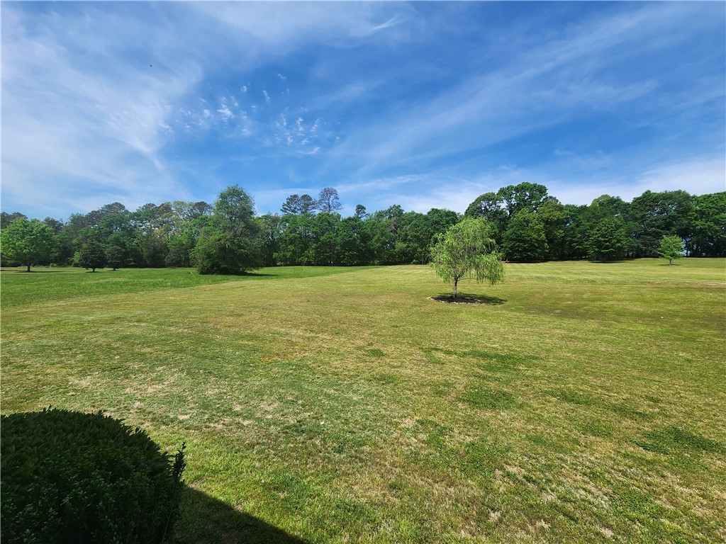 220 Chestnut Springs Way, Williamston, South Carolina image 10