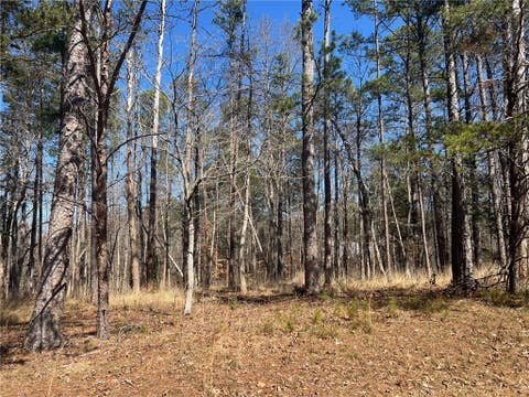 Vacant Land For Sale - LOT 31 North Shores Drive<br/> Westminster, SC 29693