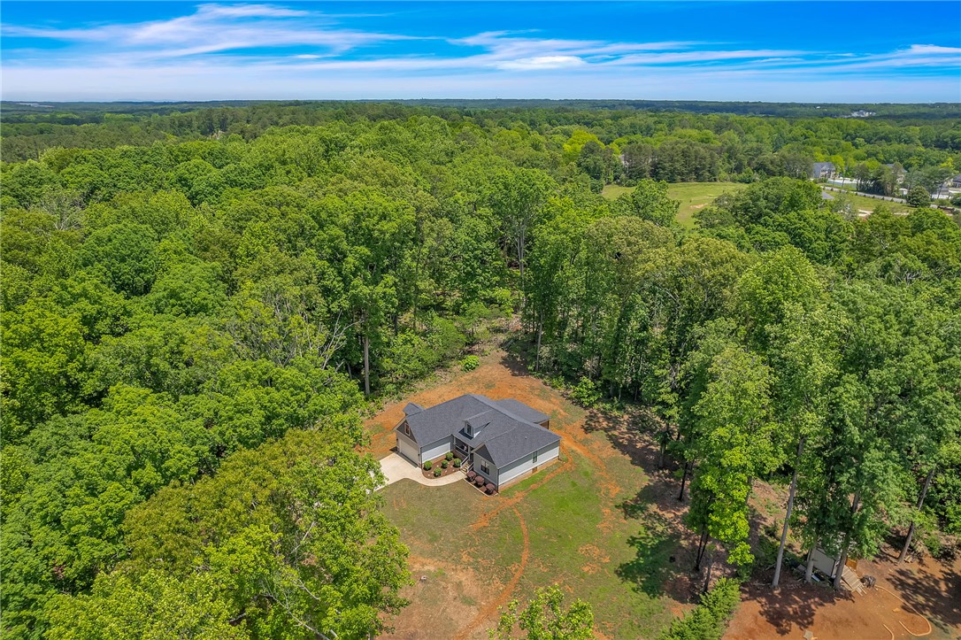 310 Autumn Lane, Belton, South Carolina image 4