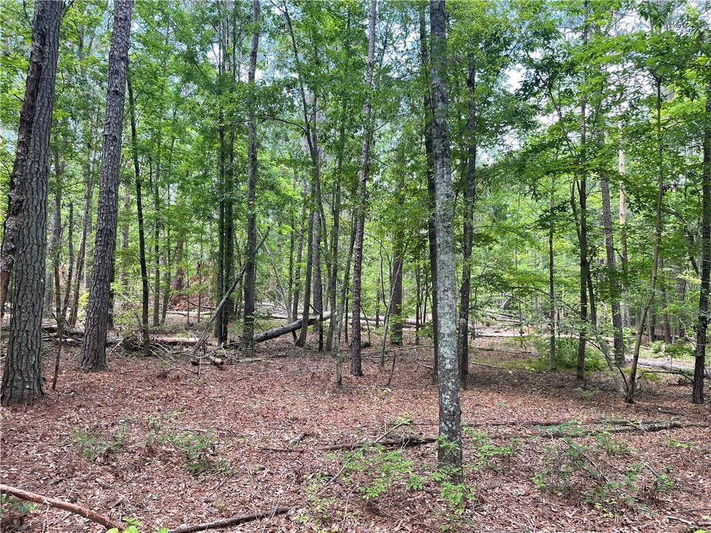 00 Clatworthy Road, Honea Path, South Carolina image 3