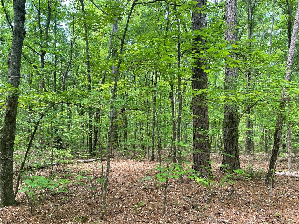 00 Clatworthy Road, Honea Path, South Carolina image 4