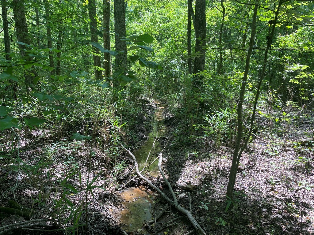 00 Clatworthy Road, Honea Path, South Carolina image 7