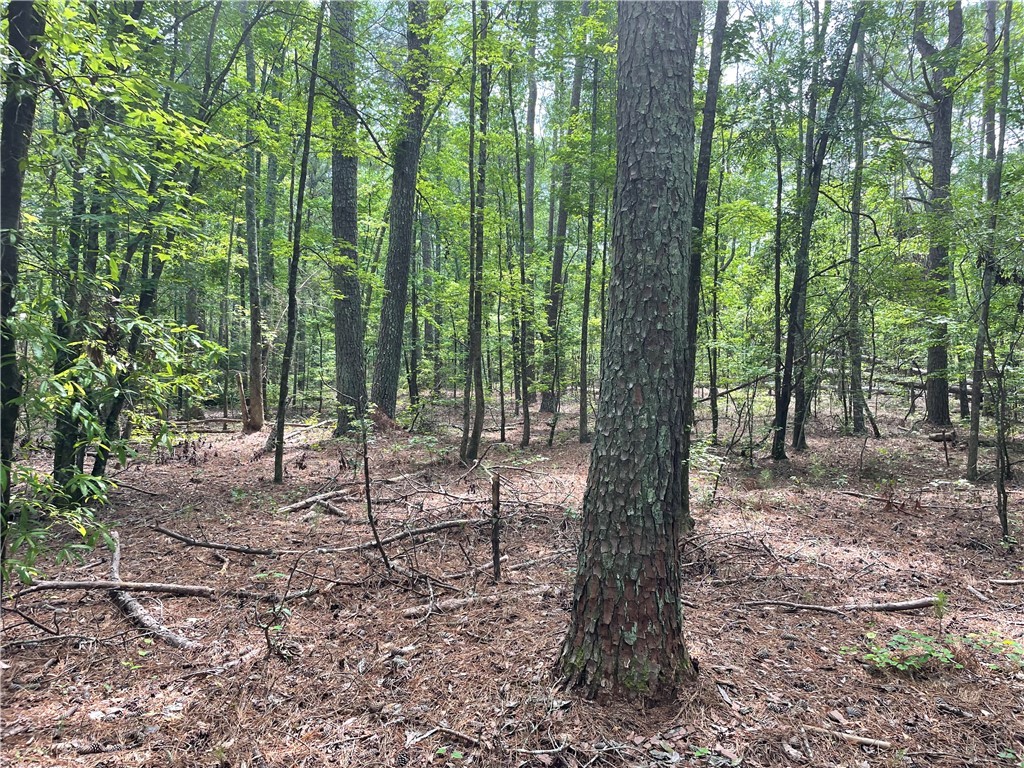 00 Clatworthy Road, Honea Path, South Carolina image 9
