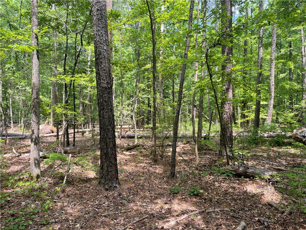 00 Clatworthy Road, Honea Path, South Carolina image 8