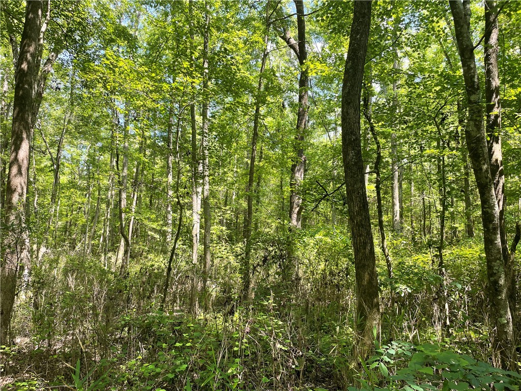 00 Clatworthy Road, Honea Path, South Carolina image 12