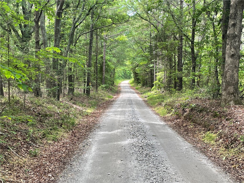 00 Clatworthy Road, Honea Path, South Carolina image 13