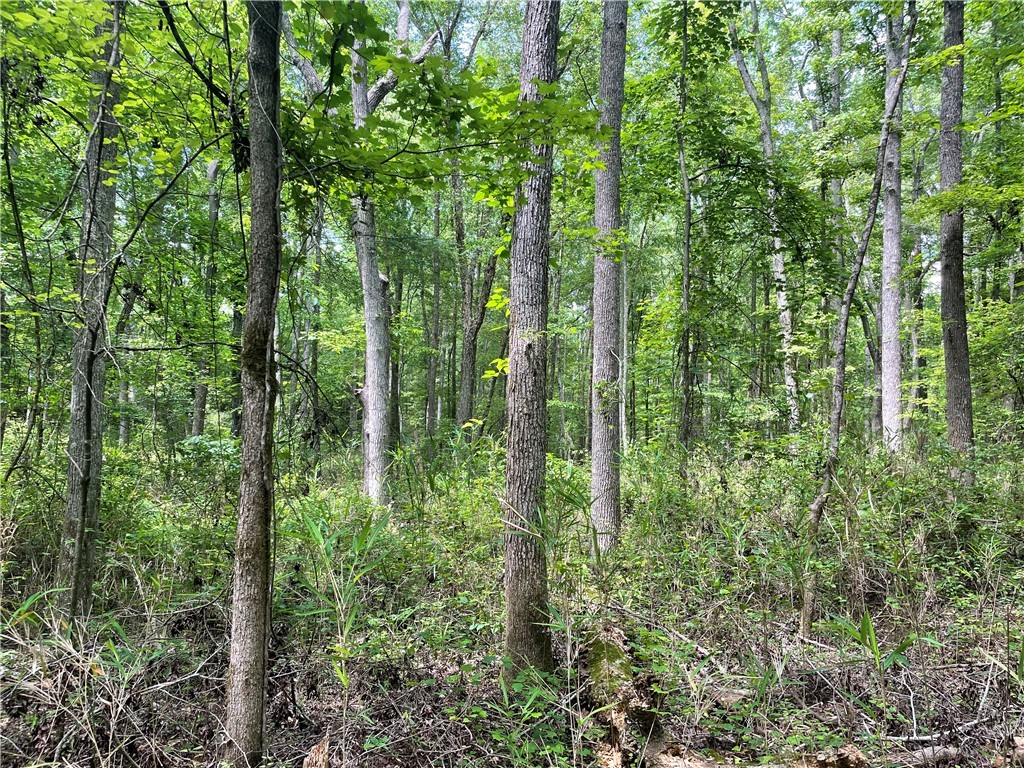 00 Clatworthy Road, Honea Path, South Carolina image 11