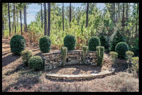 Vacant Land For Sale - LOT 128 Mcalister Road<br/> West Union, SC 29696