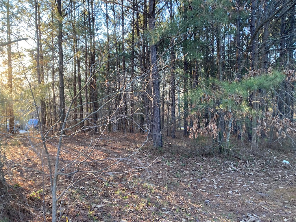 6 Dogwood Lane, Townville, South Carolina image 3