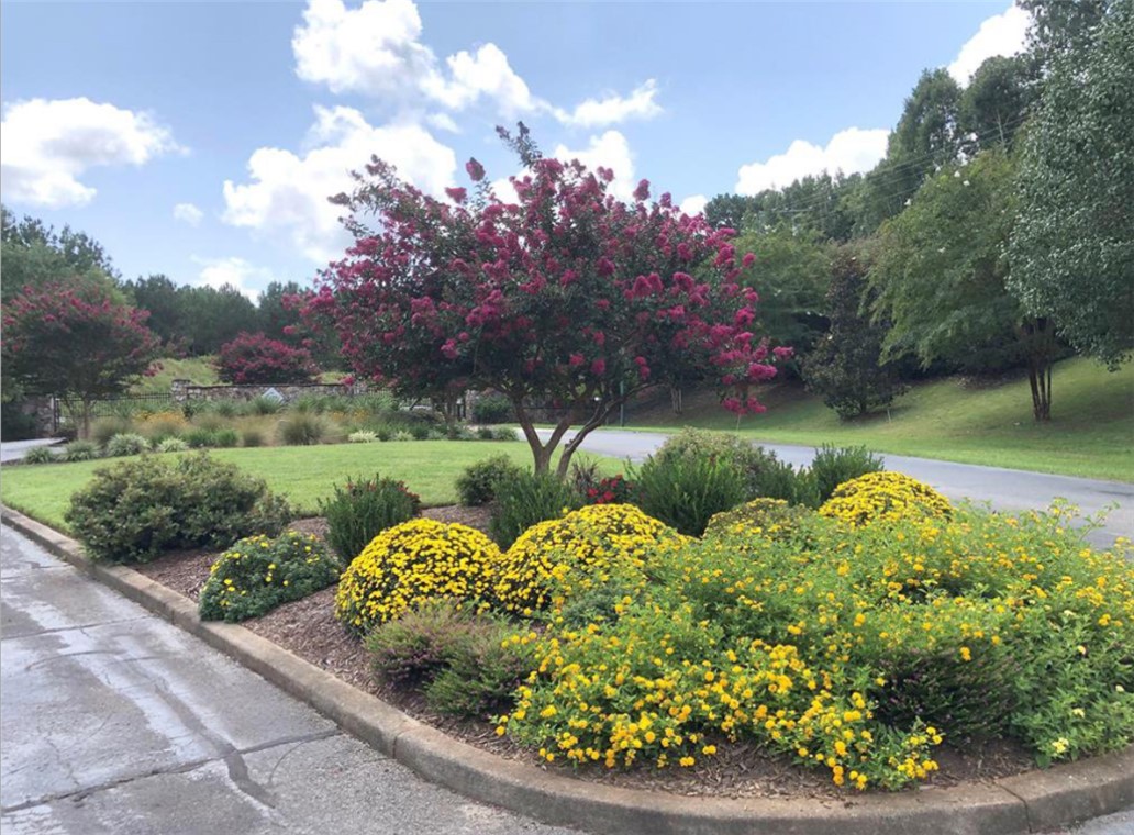320 Watersedge Drive, Cross Hill, South Carolina image 9