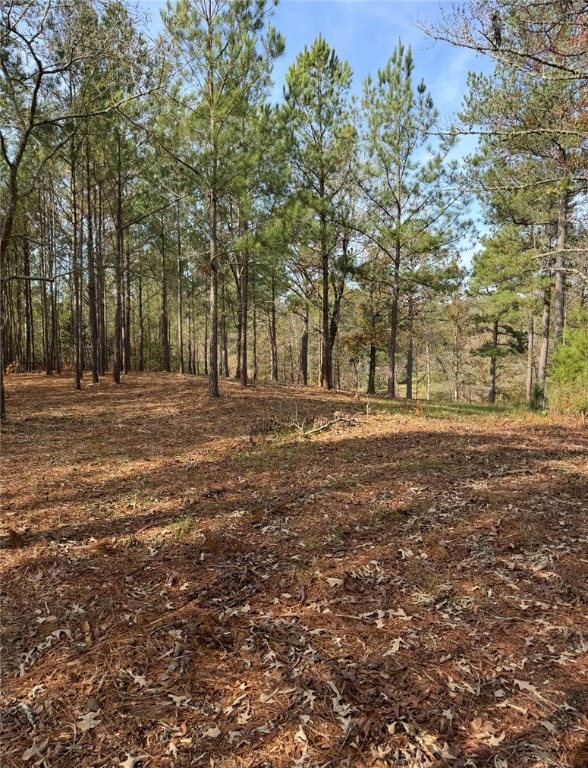 320 Watersedge Drive, Cross Hill, South Carolina image 3