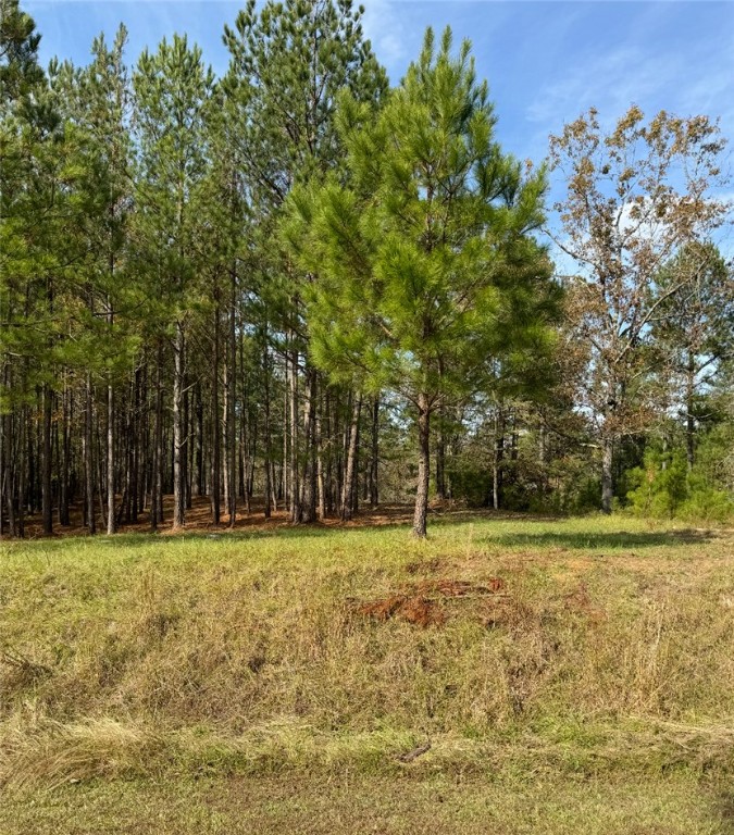320 Watersedge Drive, Cross Hill, South Carolina image 2