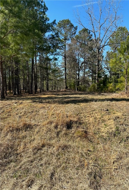 320 Watersedge Drive, Cross Hill, South Carolina image 5