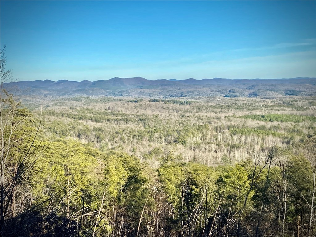 272 Jocassee Ridge Way, Salem, South Carolina image 38