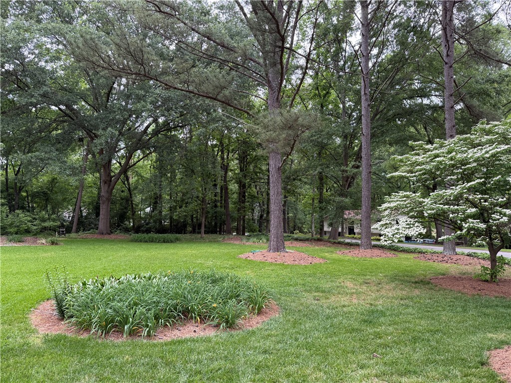 303 Princess Grace Avenue, Clemson, South Carolina image 3