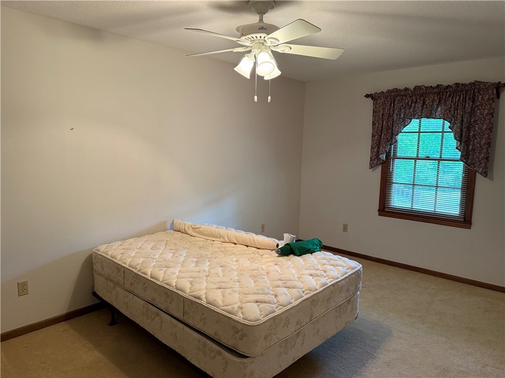 303 Princess Grace Avenue, Clemson, South Carolina image 14