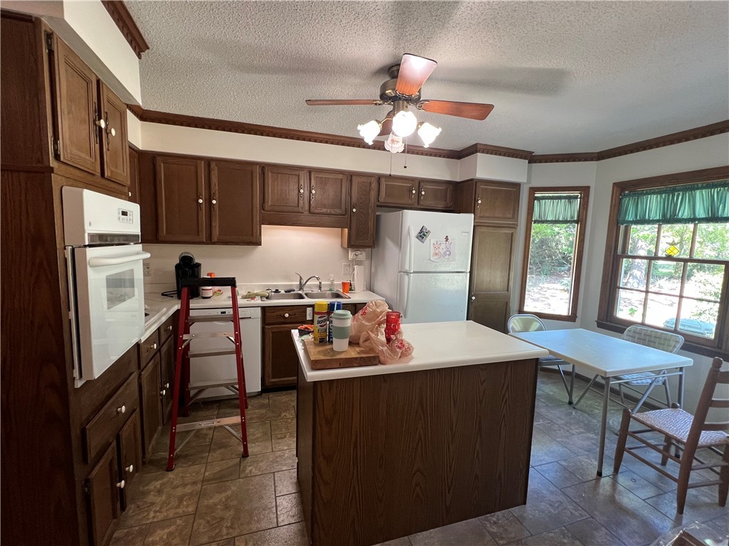 303 Princess Grace Avenue, Clemson, South Carolina image 8