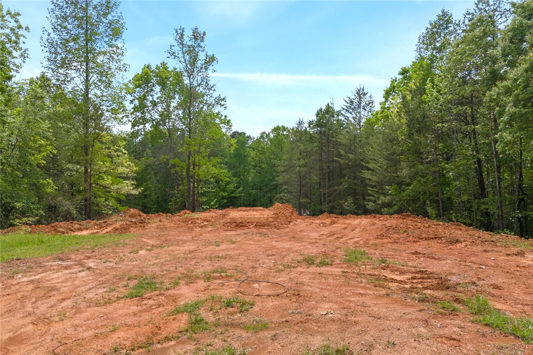 505 Mulkey Drive, Westminster, South Carolina image 8