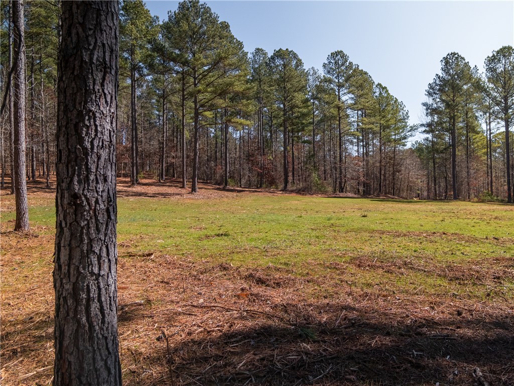002 Simms Mill Road, Liberty, South Carolina image 11