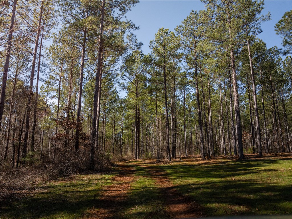 002 Simms Mill Road, Liberty, South Carolina image 6