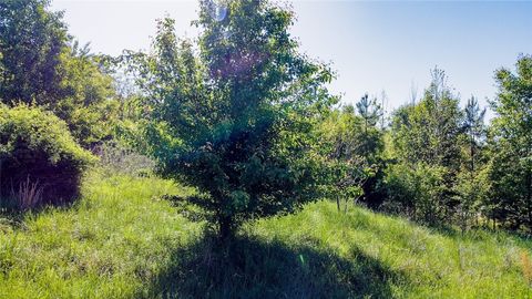 Vacant Land For Sale - 1003 Fallon Lane<br/> Anderson, SC 29625