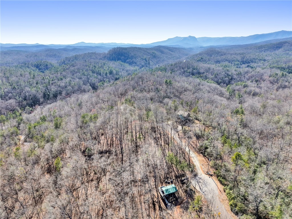 00 Emerald Crest Lane, Cleveland, South Carolina image 8