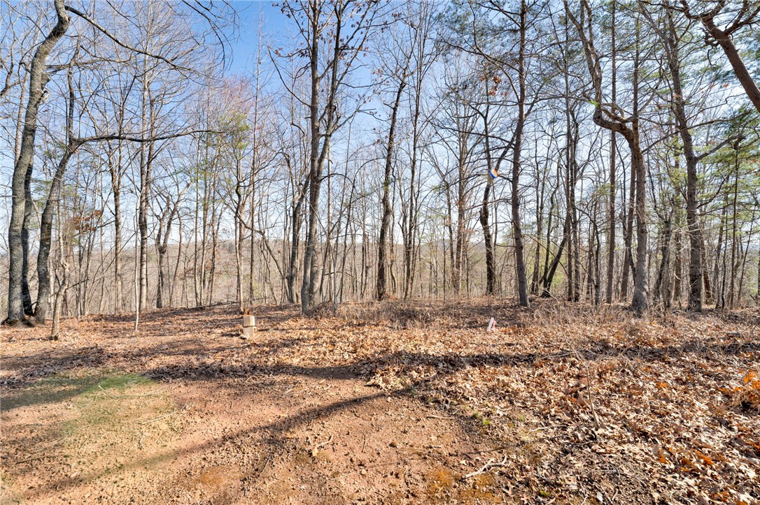 00 Emerald Crest Lane, Cleveland, South Carolina image 15