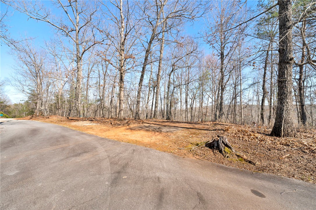 00 Emerald Crest Lane, Cleveland, South Carolina image 12