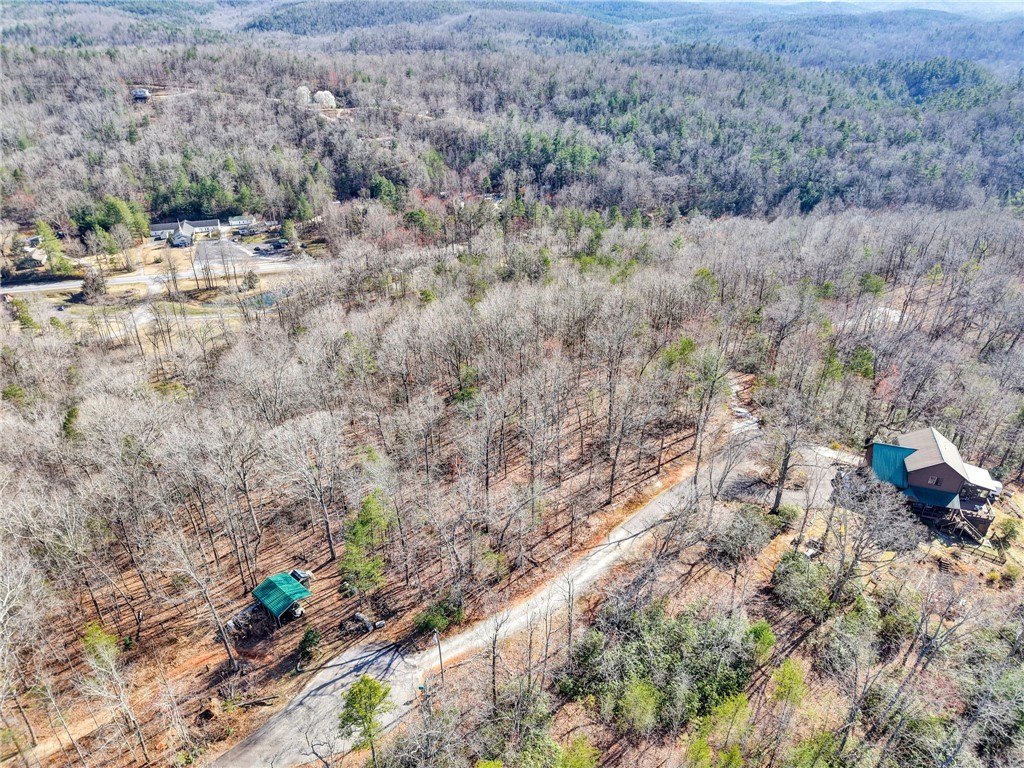 00 Emerald Crest Lane, Cleveland, South Carolina image 9