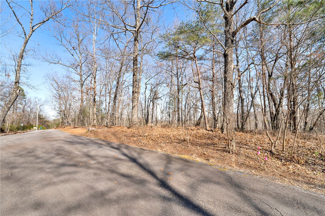 00 Emerald Crest Lane, Cleveland, South Carolina image 11