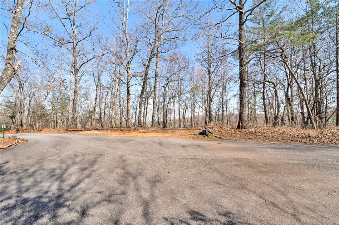 00 Emerald Crest Lane, Cleveland, South Carolina image 13