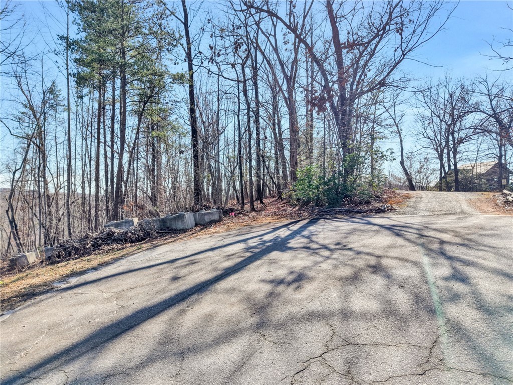 00 Emerald Crest Lane, Cleveland, South Carolina image 1