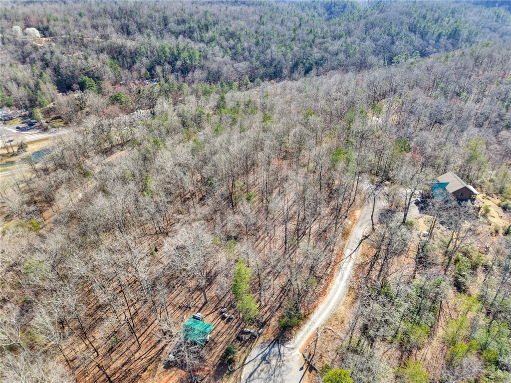 00 Emerald Crest Lane, Cleveland, South Carolina image 6