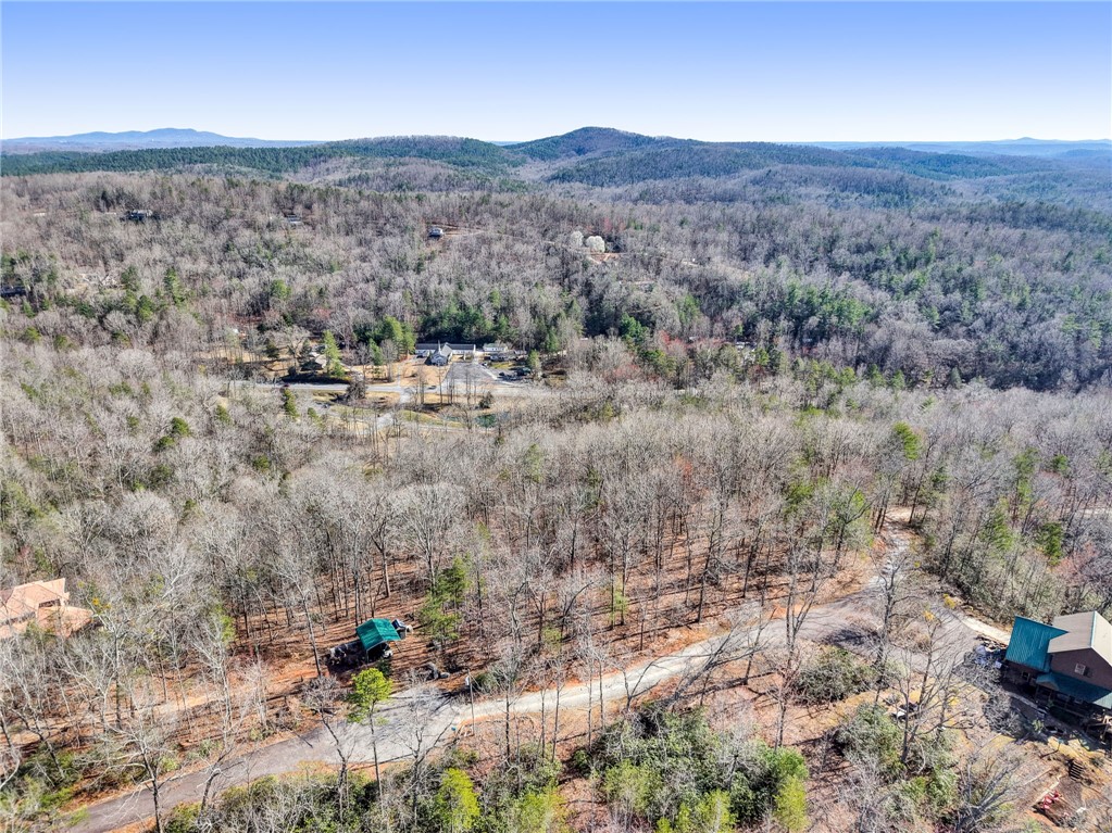 00 Emerald Crest Lane, Cleveland, South Carolina image 10