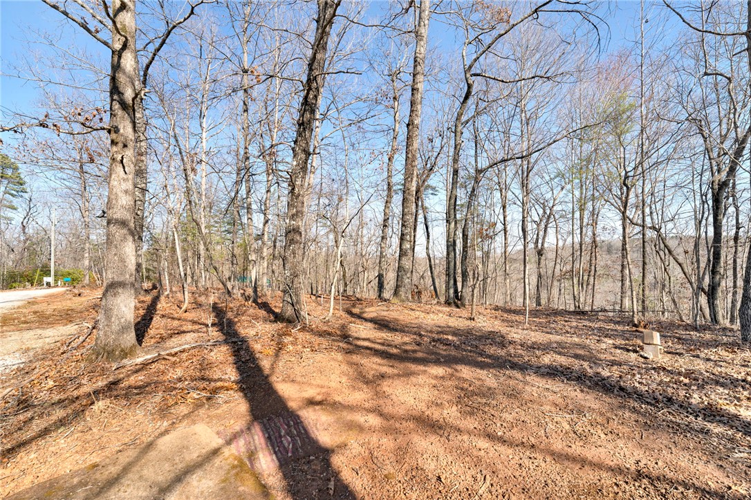 00 Emerald Crest Lane, Cleveland, South Carolina image 14