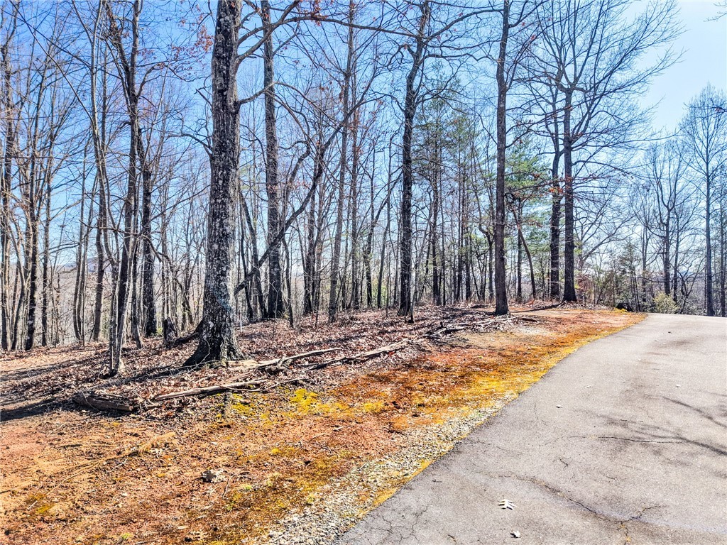 00 Emerald Crest Lane, Cleveland, South Carolina image 3