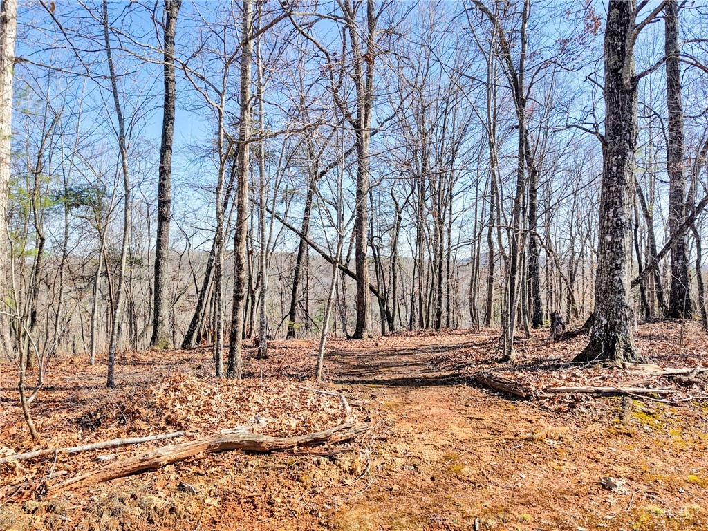 00 Emerald Crest Lane, Cleveland, South Carolina image 4