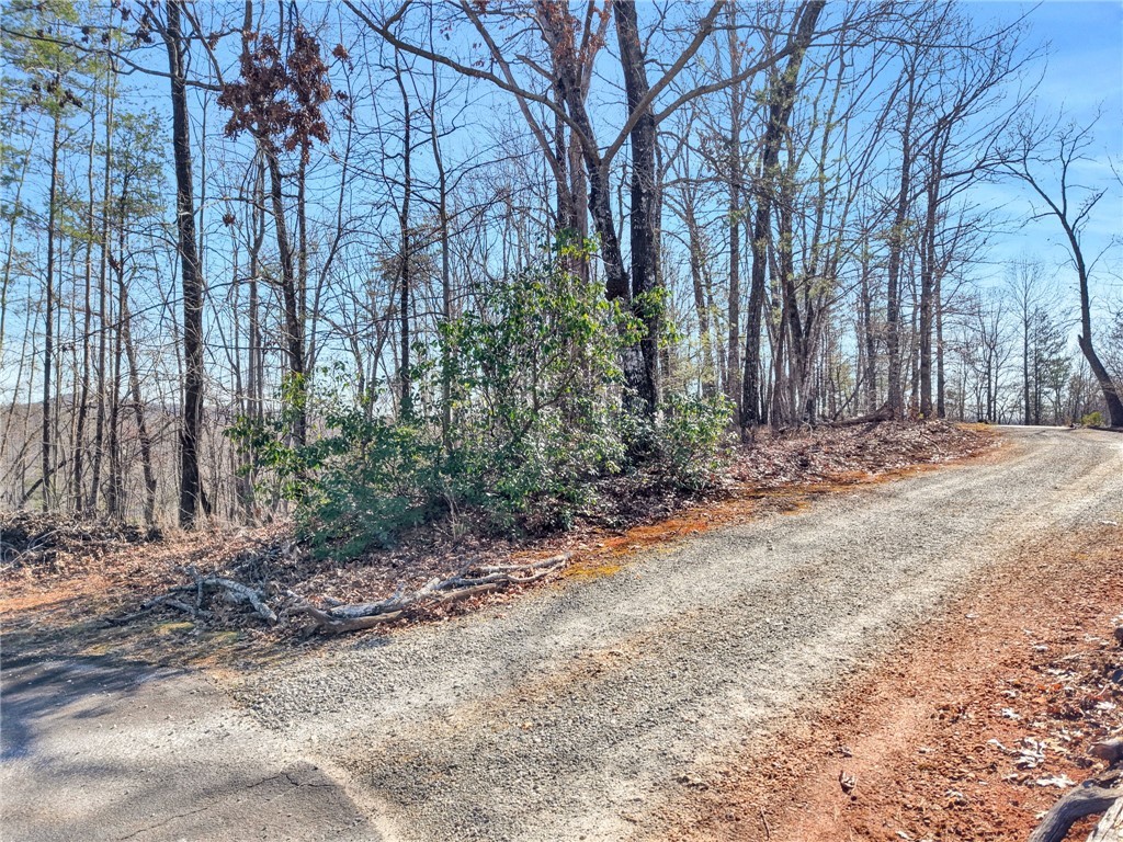 00 Emerald Crest Lane, Cleveland, South Carolina image 2