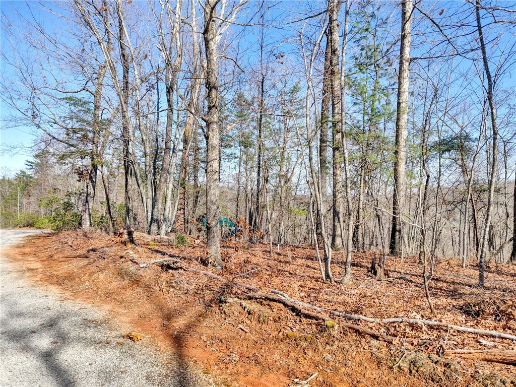 00 Emerald Crest Lane, Cleveland, South Carolina image 5