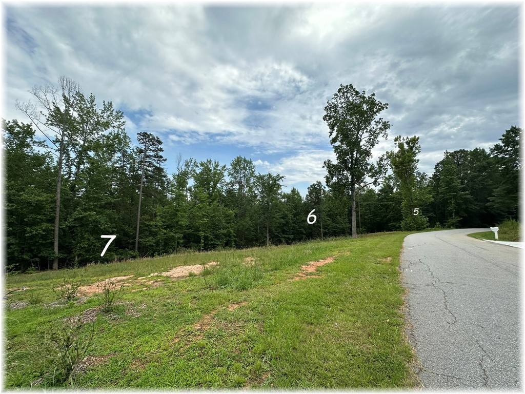 620 Lynnhaven Drive, Seneca, South Carolina image 4