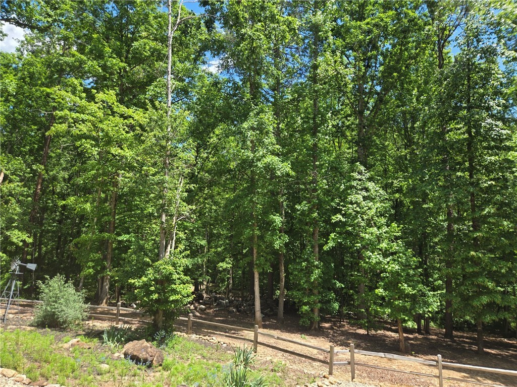 160 Julie Way, Pickens, South Carolina image 50
