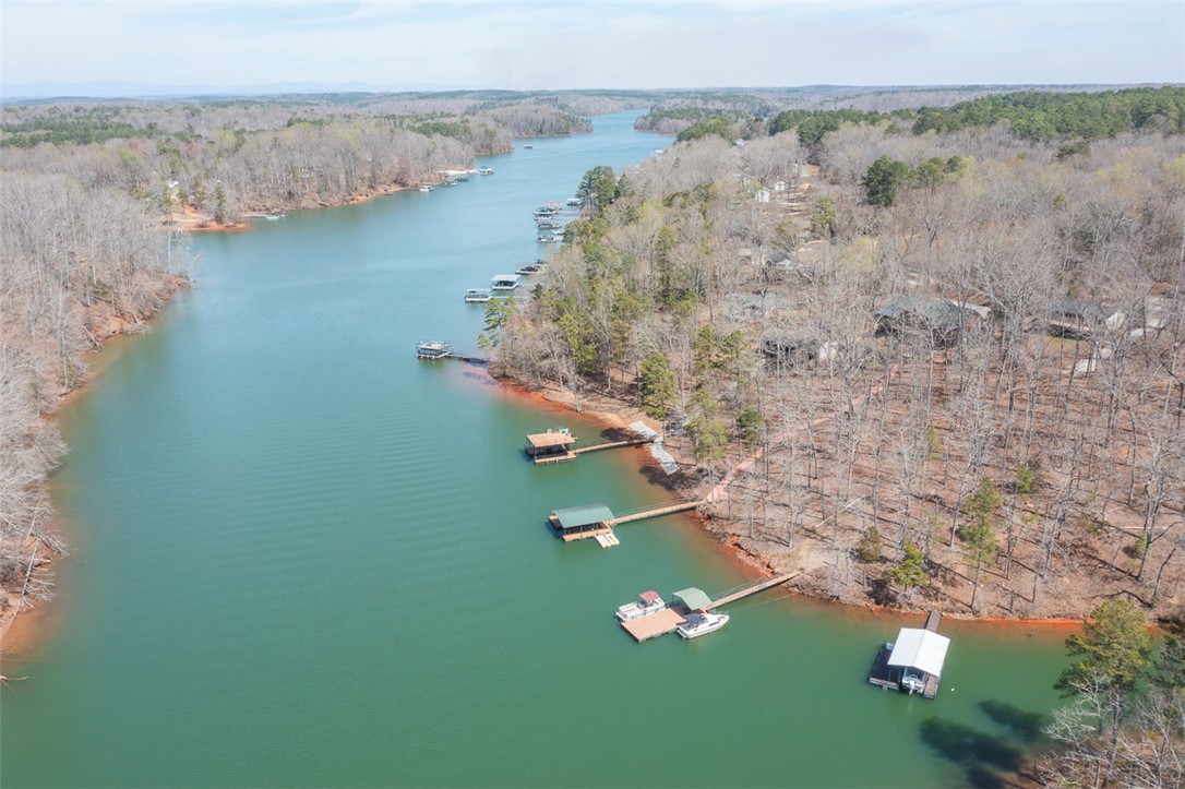 232 Lake Hills Drive, Townville, South Carolina image 47