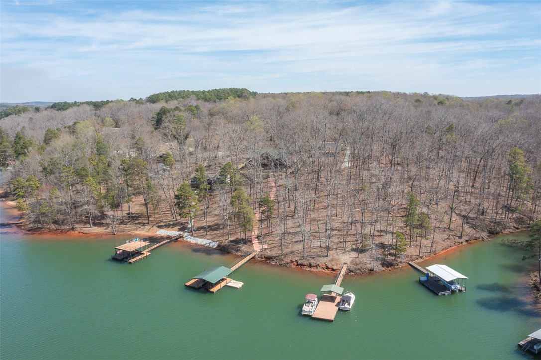 232 Lake Hills Drive, Townville, South Carolina image 5