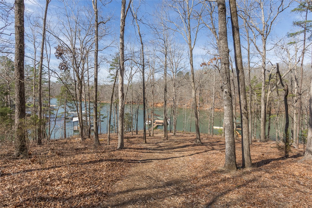 232 Lake Hills Drive, Townville, South Carolina image 7