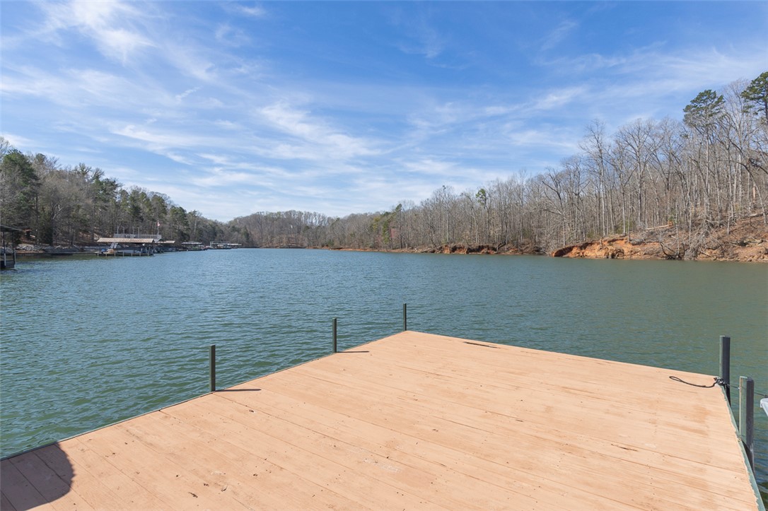 232 Lake Hills Drive, Townville, South Carolina image 3