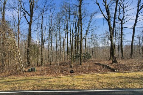Vacant Land For Sale - 116 Witch Hazel Trail<br/> Landrum, SC 29356