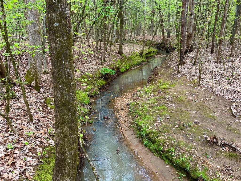 81 North Highway, Calhoun Falls, South Carolina image 2